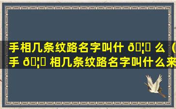 手相几条纹路名字叫什 🦆 么（手 🦈 相几条纹路名字叫什么来着）